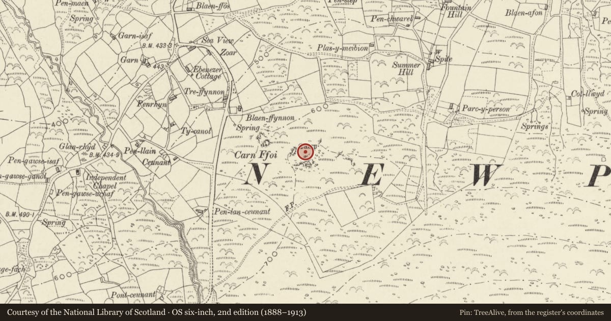 Ordnance Survey six-inch map, 2nd edition (1888–1913) covering the location of Carn Ffoi Camp, Newport, Pembrokeshire, with a pin at the register's coordinates