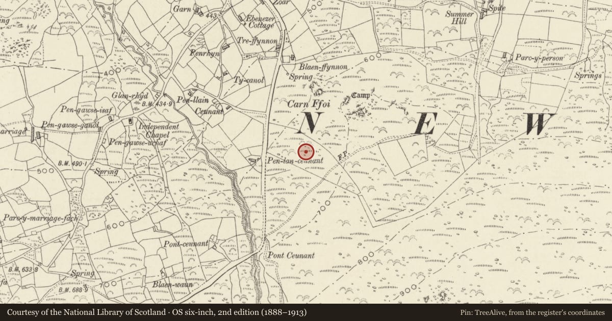 Ordnance Survey six-inch map, 2nd edition (1888–1913) covering the location of Carn Ffoi Prehistoric Settlement, Newport, Pembrokeshire, with a pin at the register's coordinates