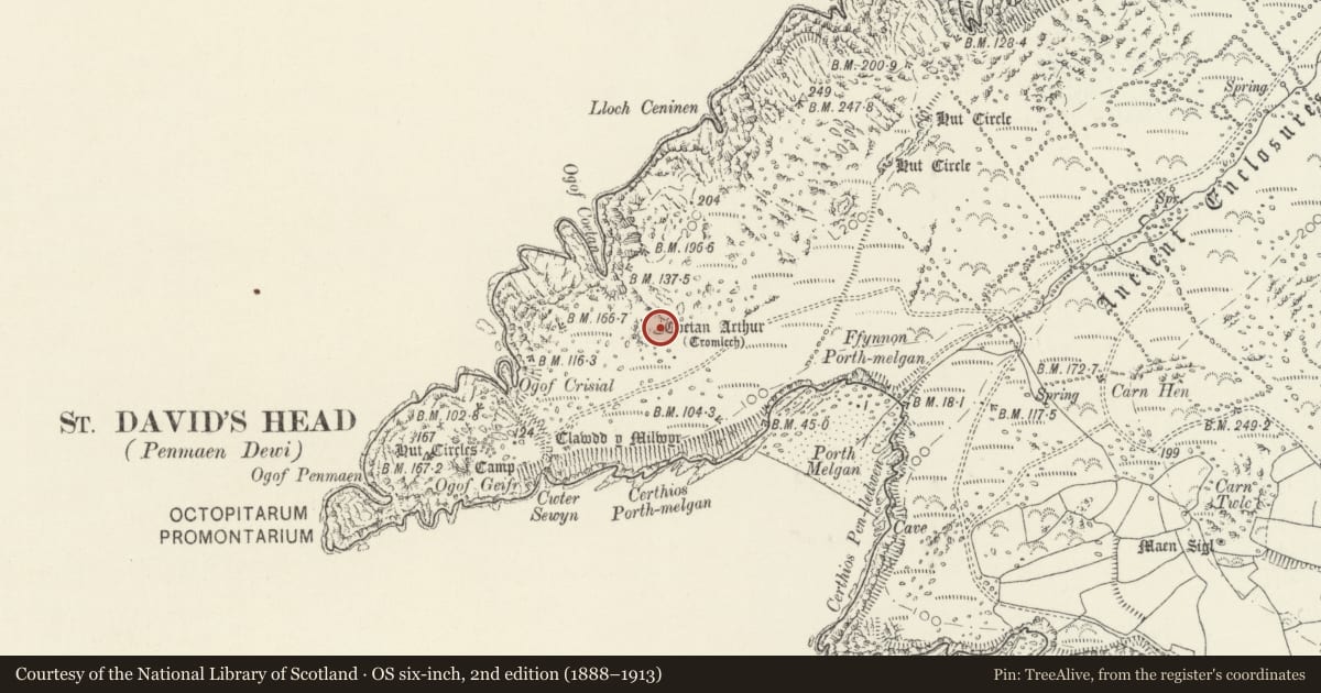 Ordnance Survey six-inch map, 2nd edition (1888–1913) covering the location of Coetan Arthur Burial Chamber, St. David's and the Cathedral Close, Pembrokeshire, with a pin at the register's coordinates