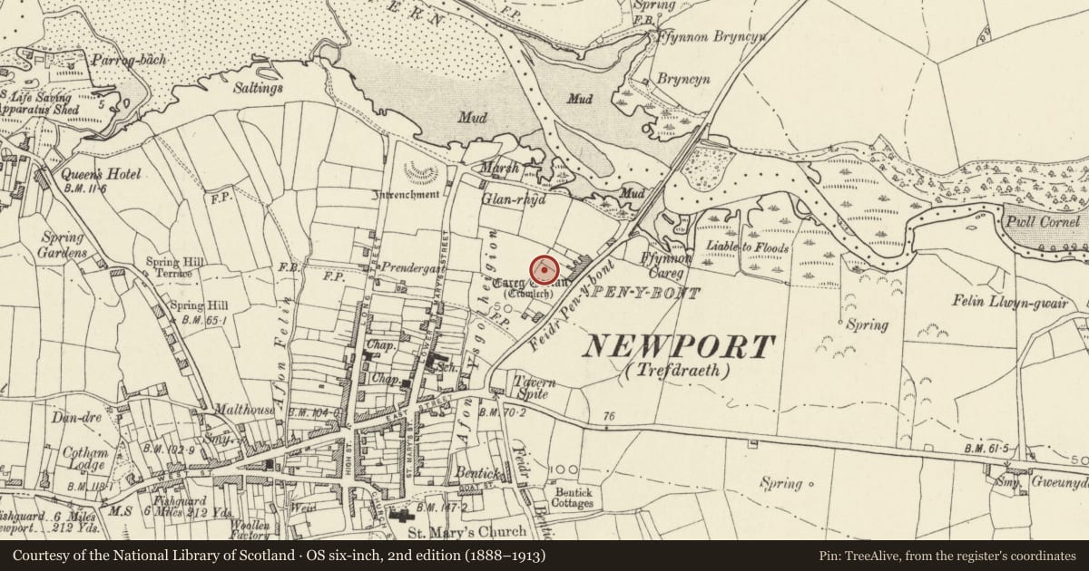 Ordnance Survey six-inch map, 2nd edition (1888–1913) covering the location of Carreg Coetan Arthur Chambered Tomb, Newport, Pembrokeshire, with a pin at the register's coordinates
