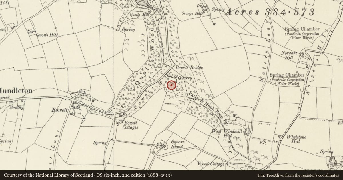 Ordnance Survey six-inch map, 2nd edition (1888–1913) covering the location of Bowett Wood Camp, Hundleton, Pembrokeshire, with a pin at the register's coordinates