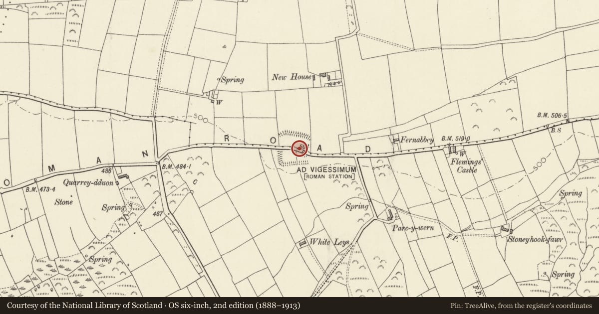 Ordnance Survey six-inch map, 2nd edition (1888–1913) covering the location of Castle Flemish, Puncheston, Pembrokeshire, with a pin at the register's coordinates