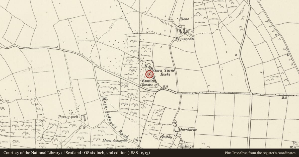 Ordnance Survey six-inch map, 2nd edition (1888–1913) covering the location of Garn Turne Burial Chamber, Wolfscastle, Pembrokeshire, with a pin at the register's coordinates