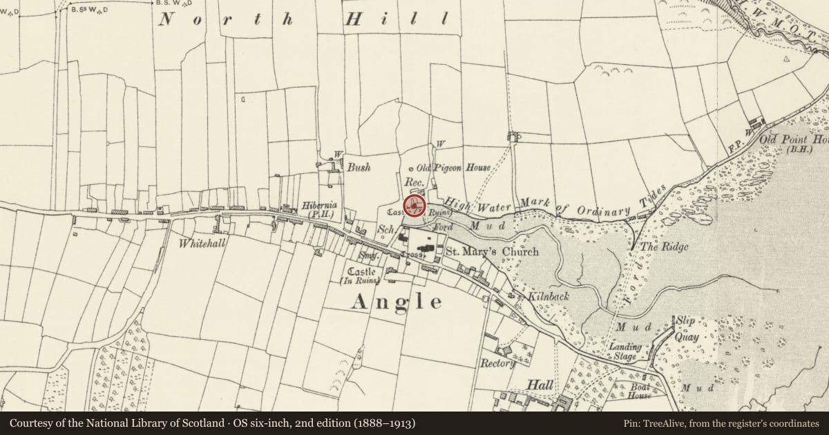 Ordnance Survey six-inch map, 2nd edition (1888–1913) covering the location of The Tower, Angle, Pembrokeshire, with a pin at the register's coordinates