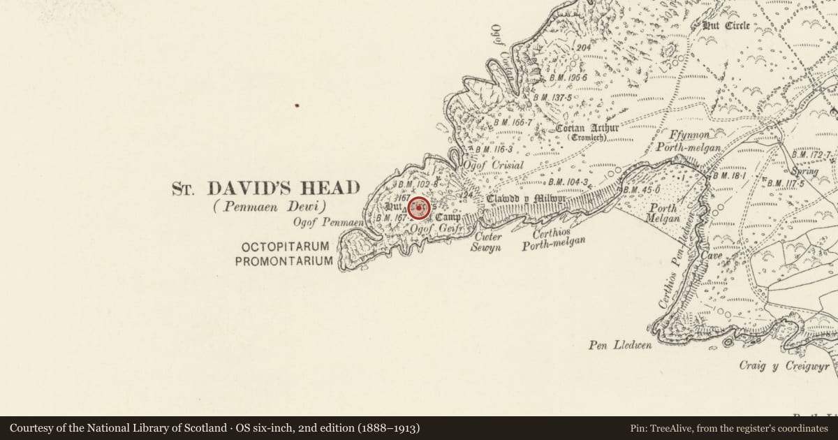 Ordnance Survey six-inch map, 2nd edition (1888–1913) covering the location of St David's Head Camp, St. David's and the Cathedral Close, Pembrokeshire, with a pin at the register's coordinates