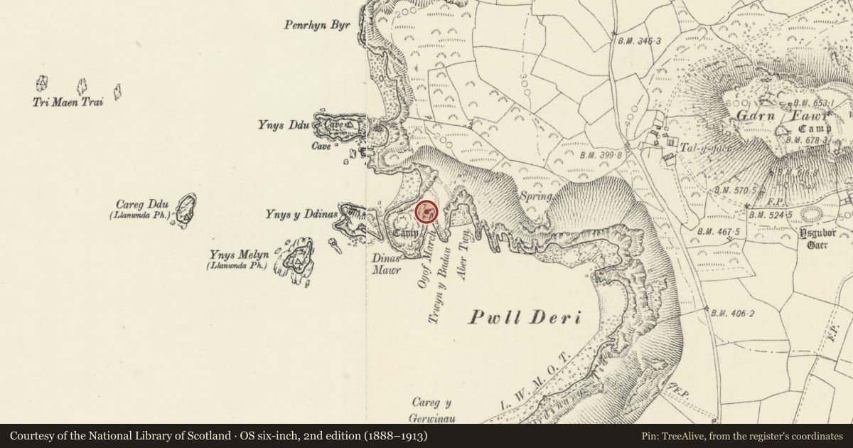 Ordnance Survey six-inch map, 2nd edition (1888–1913) covering the location of Dinas Mawr Camp, Pencaer, Pembrokeshire, with a pin at the register's coordinates