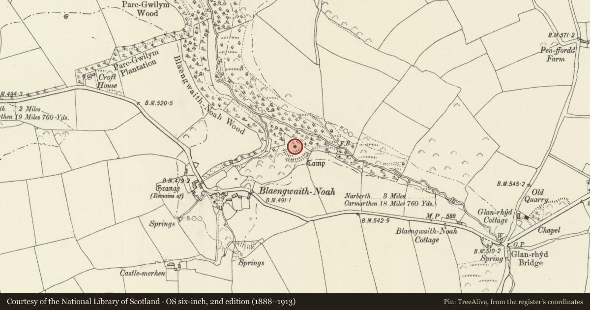 Ordnance Survey six-inch map, 2nd edition (1888–1913) covering the location of Blaengwaith-Noah Camp, Lampeter Velfrey, Pembrokeshire, with a pin at the register's coordinates