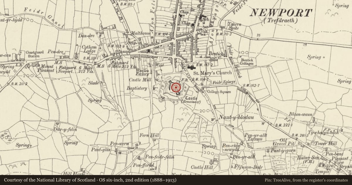 Ordnance Survey six-inch map, 2nd edition (1888–1913) covering the location of Newport Castle (Unoccupied parts), Pembrokeshire, with a pin at the register's coordinates