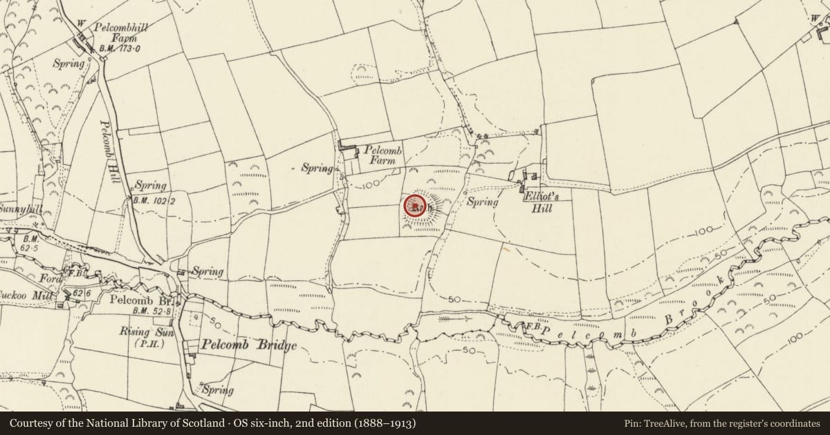 Ordnance Survey six-inch map, 2nd edition (1888–1913) covering the location of Rath 150m SE of Pelcomb Farm, Camrose, Pembrokeshire, with a pin at the register's coordinates