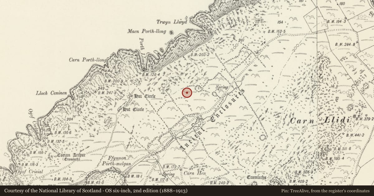 Ordnance Survey six-inch map, 2nd edition (1888–1913) covering the location of Hut Circles and Ancient Enclosures NW of Carn Llidi, St. David's and the Cathedral Close, Pembrokeshire, with a pin at the register's coordinates