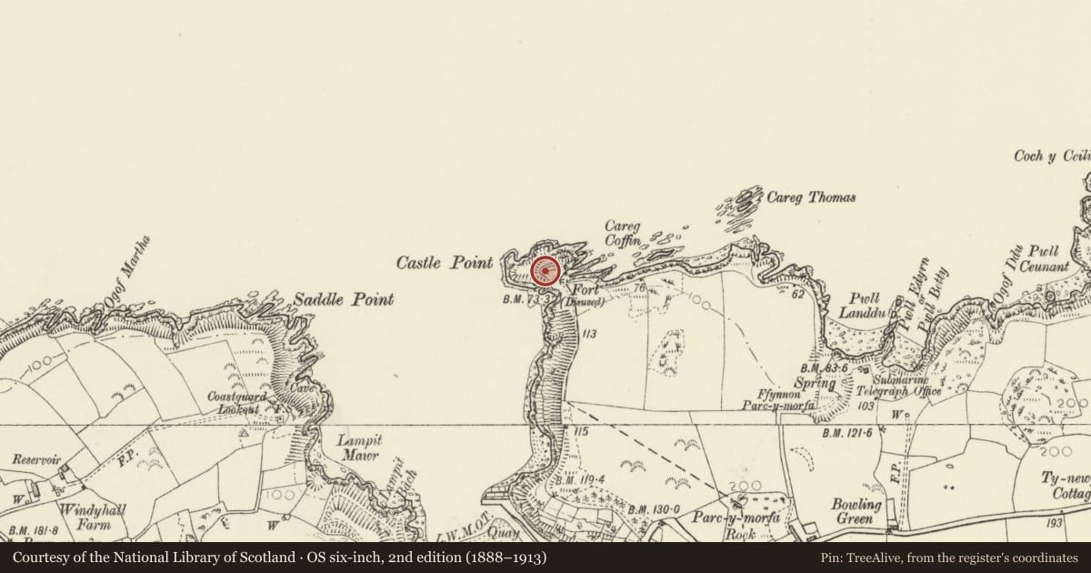 Ordnance Survey six-inch map, 2nd edition (1888–1913) covering the location of Castle Point Old Fort, Fishguard and Goodwick, Pembrokeshire, with a pin at the register's coordinates