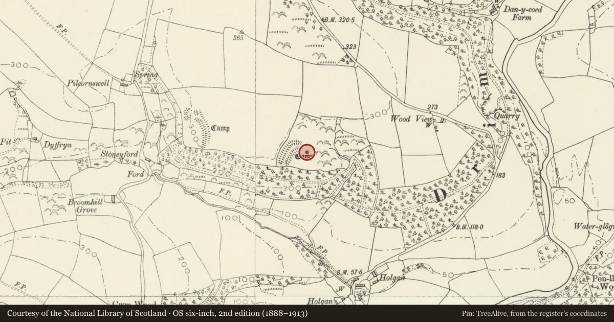 Ordnance Survey six-inch map, 2nd edition (1888–1913) covering the location of Camp 400m NW of Holgan, Llawhaden, Pembrokeshire, with a pin at the register's coordinates