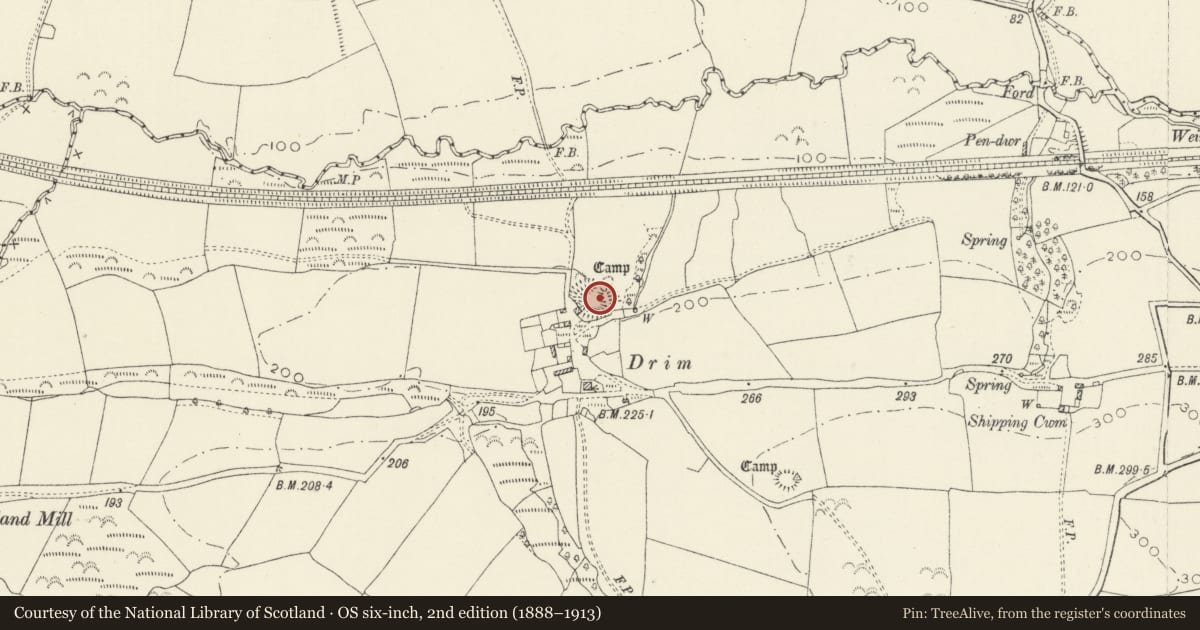 Ordnance Survey six-inch map, 2nd edition (1888–1913) covering the location of Drim Camp, Llawhaden, Pembrokeshire, with a pin at the register's coordinates