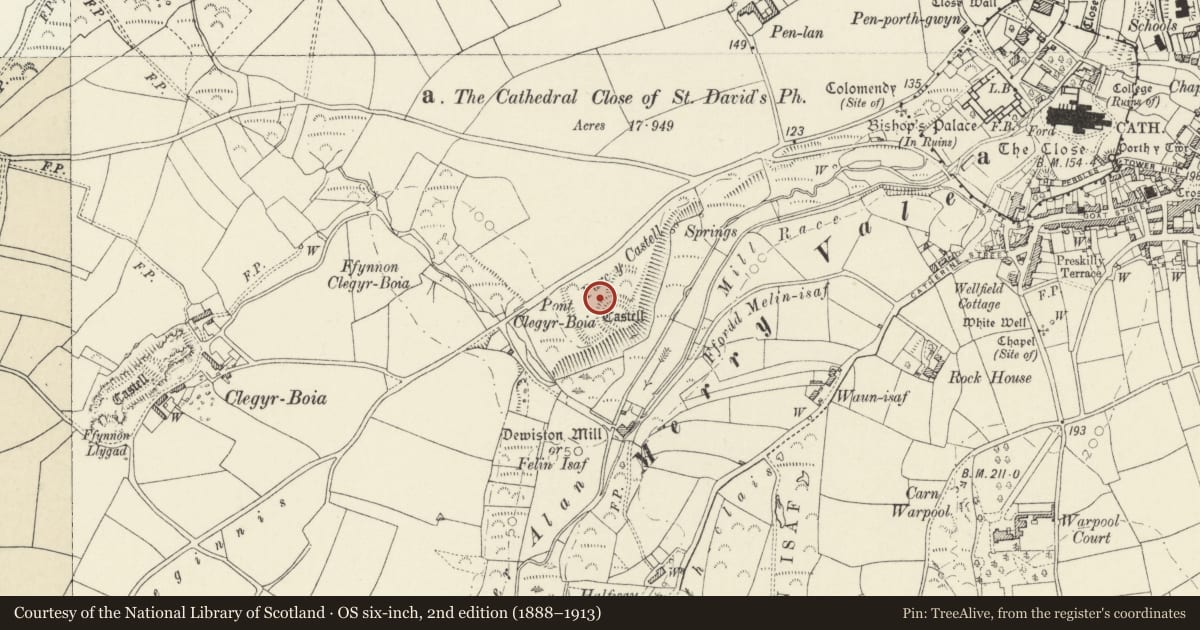 Ordnance Survey six-inch map, 2nd edition (1888–1913) covering the location of Parc y Castell Mound and Bailey Castle, St. David's and the Cathedral Close, Pembrokeshire, with a pin at the register's coordinates