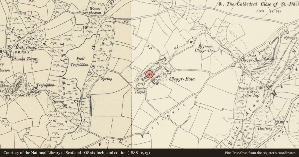 Ordnance Survey six-inch map, 2nd edition (1888–1913) covering the location of Clegyr-Boia Camp, St. David's and the Cathedral Close, Pembrokeshire, with a pin at the register's coordinates