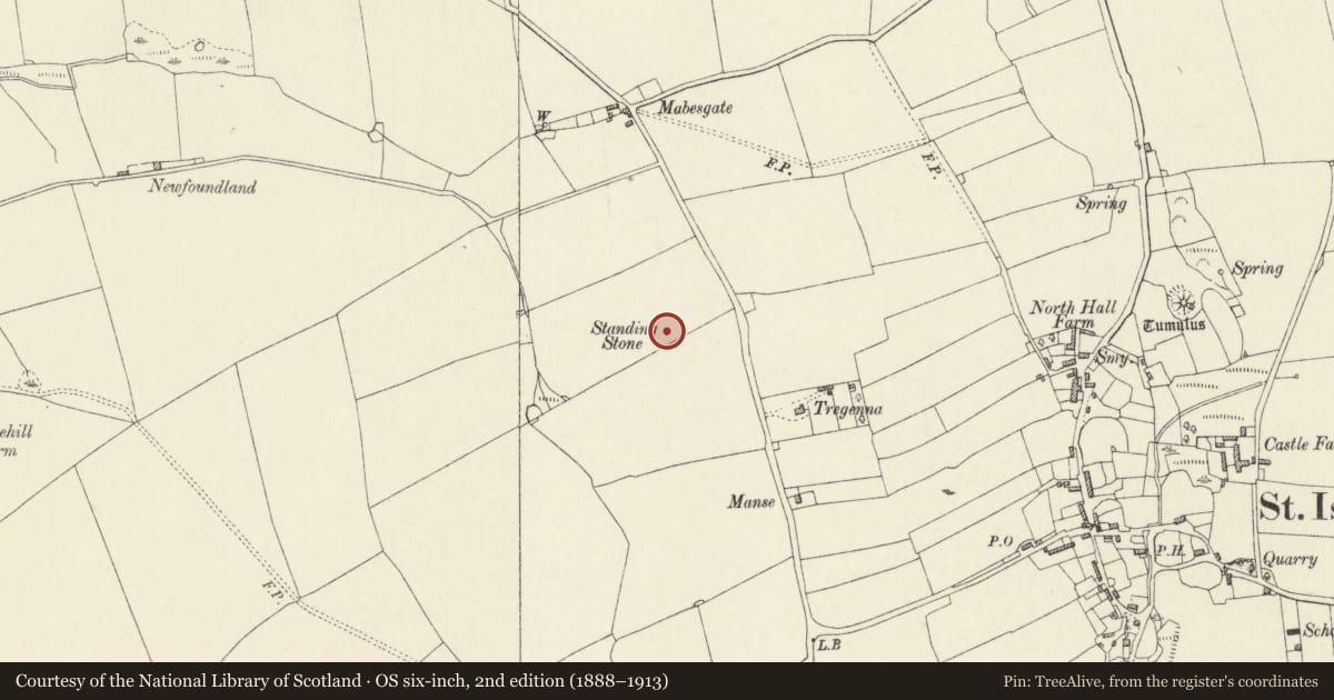 Ordnance Survey six-inch map, 2nd edition (1888–1913) covering the location of Standing Stone 290m S of Mabesgate, St. Ishmael's, Pembrokeshire, with a pin at the register's coordinates