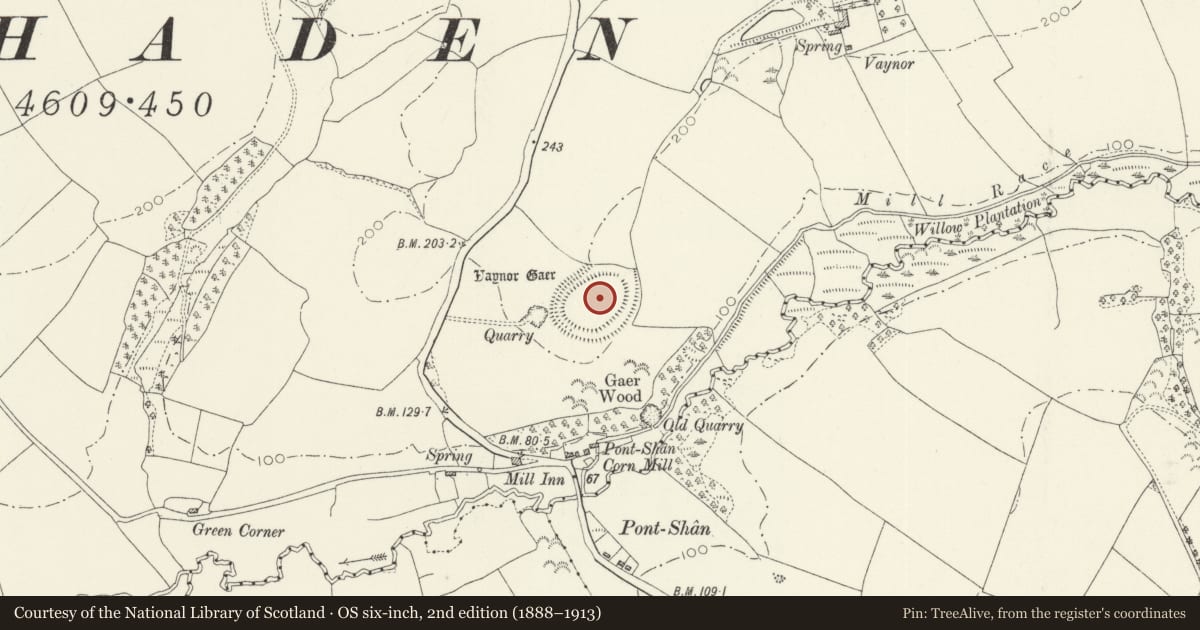 Ordnance Survey six-inch map, 2nd edition (1888–1913) covering the location of Vaynor Gaer, Llawhaden, Pembrokeshire, with a pin at the register's coordinates