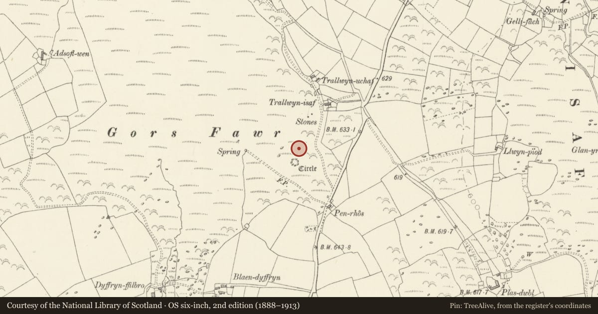 Ordnance Survey six-inch map, 2nd edition (1888–1913) covering the location of Gors Fawr Stone Circle, Mynachlog-Ddu, Pembrokeshire, with a pin at the register's coordinates