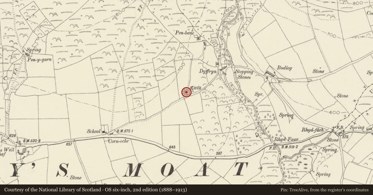 Ordnance Survey six-inch map, 2nd edition (1888–1913) covering the location of Dyffryn Stone Circle, Puncheston, Pembrokeshire, with a pin at the register's coordinates