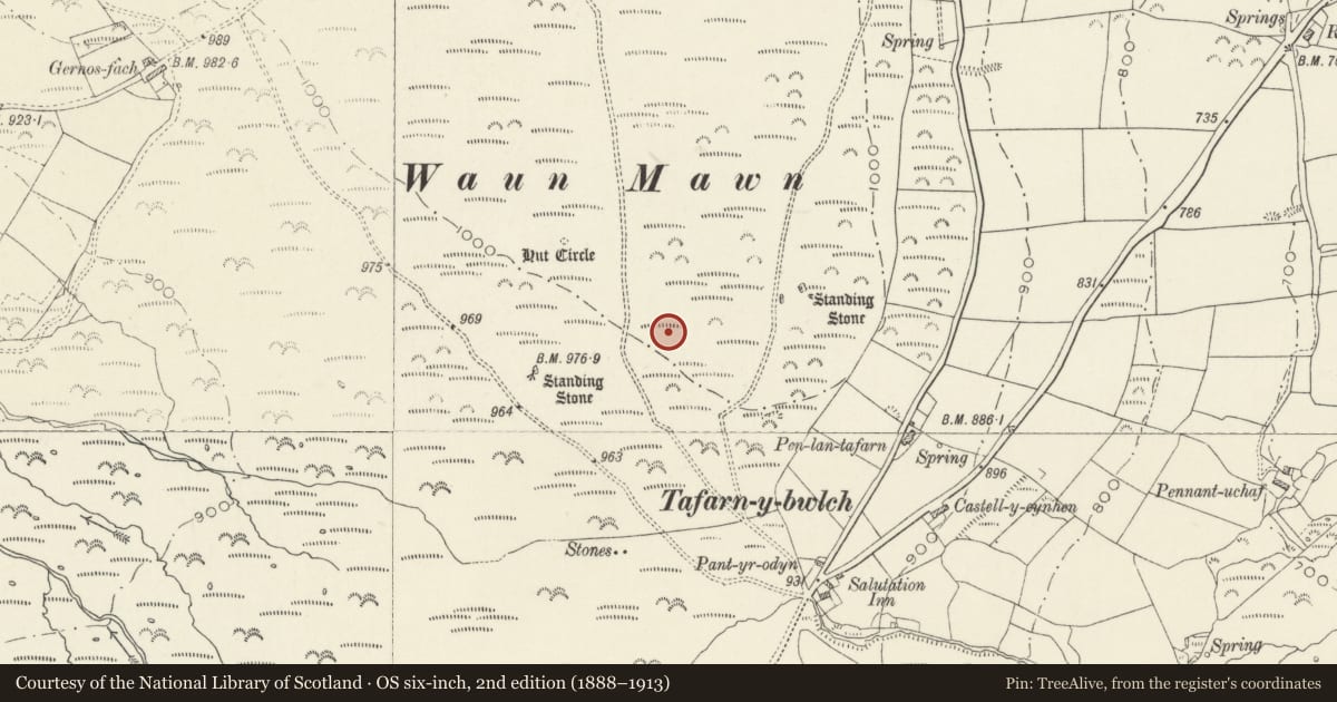 Ordnance Survey six-inch map, 2nd edition (1888–1913) covering the location of Waun Mawn Standing Stones, Eglwyswrw, Pembrokeshire, with a pin at the register's coordinates