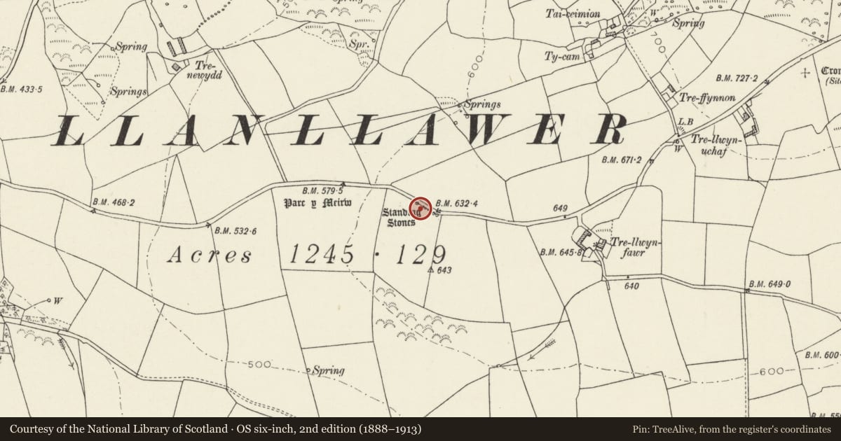 Ordnance Survey six-inch map, 2nd edition (1888–1913) covering the location of Parc-y-Meirw Standing Stones, Cwm Gwaun, Pembrokeshire, with a pin at the register's coordinates