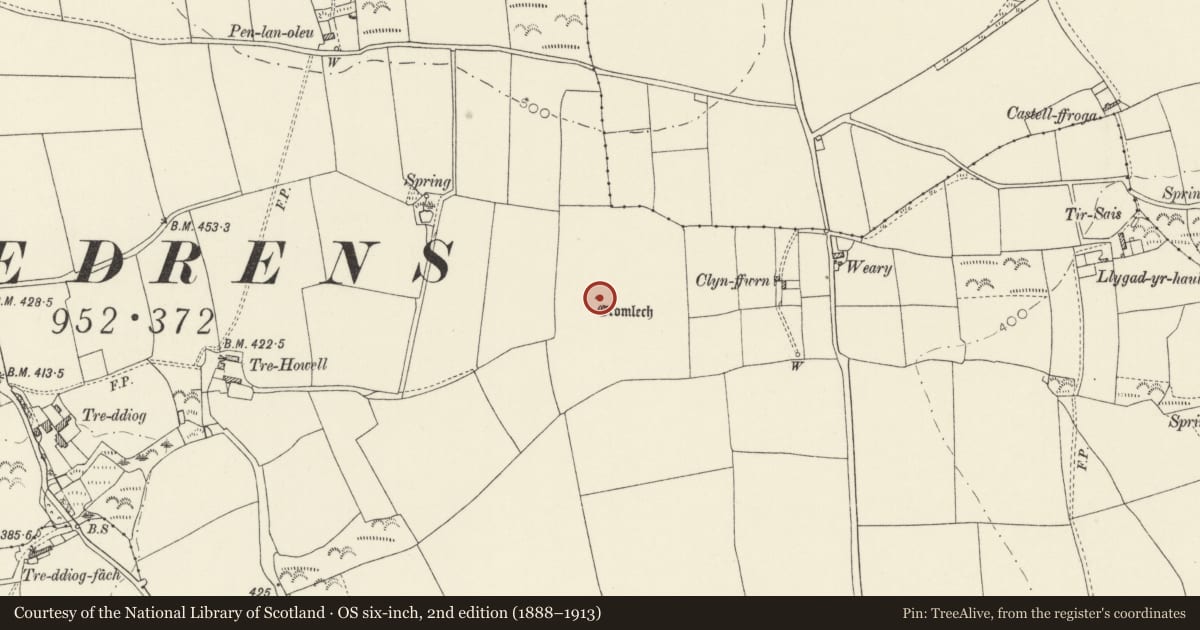 Ordnance Survey six-inch map, 2nd edition (1888–1913) covering the location of Clyn-Ffwrn Burial Chamber, Hayscastle, Pembrokeshire, with a pin at the register's coordinates
