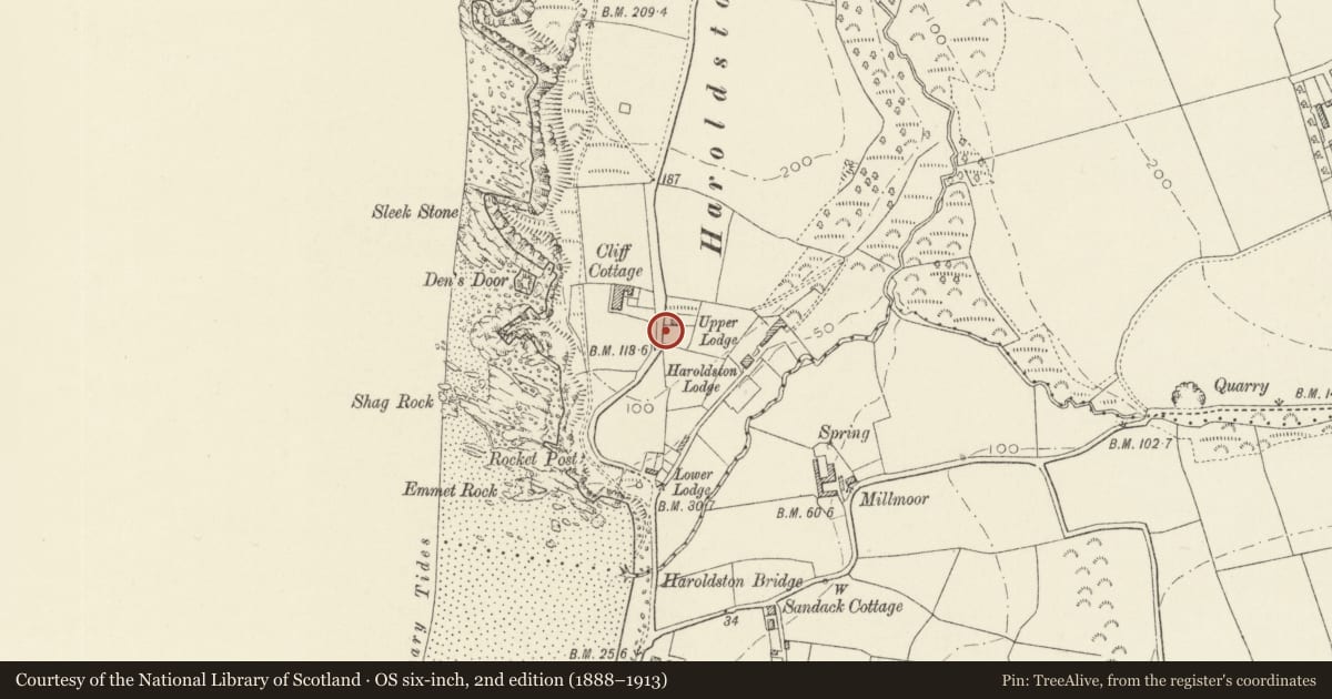 Ordnance Survey six-inch map, 2nd edition (1888–1913) covering the location of Standing Stones near Upper Lodge, The Havens, Pembrokeshire, with a pin at the register's coordinates