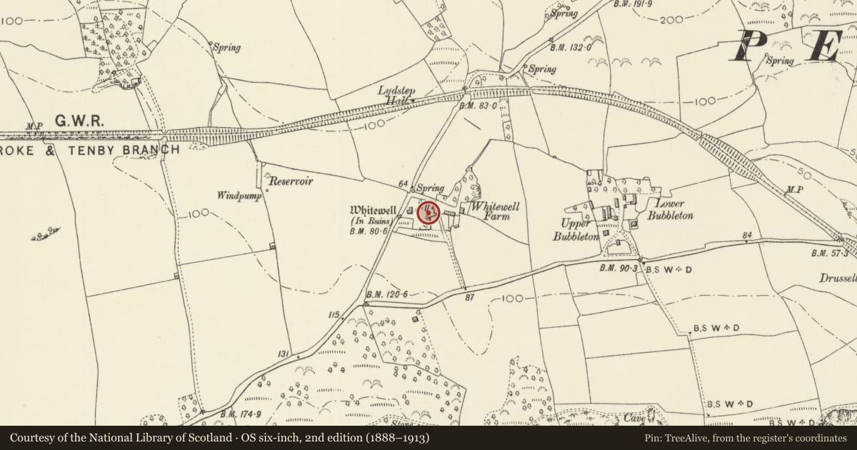 Ordnance Survey six-inch map, 2nd edition (1888–1913) covering the location of Whitewell, Penally, Pembrokeshire, with a pin at the register's coordinates