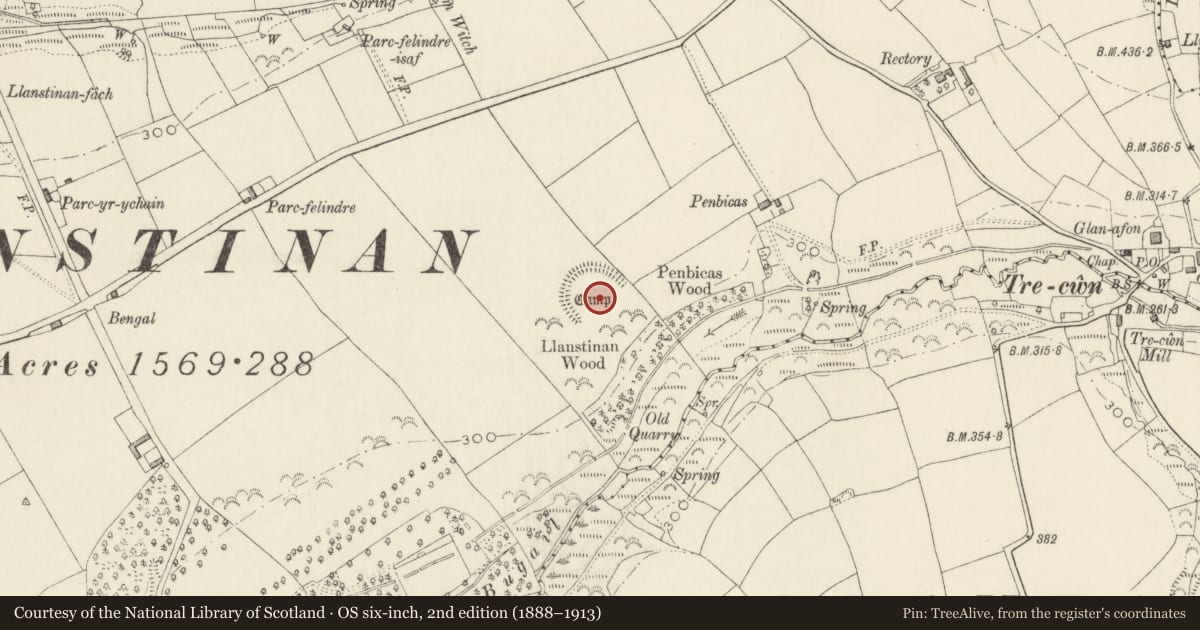 Ordnance Survey six-inch map, 2nd edition (1888–1913) covering the location of Caer Penbicas, Trecwn, Pembrokeshire, with a pin at the register's coordinates