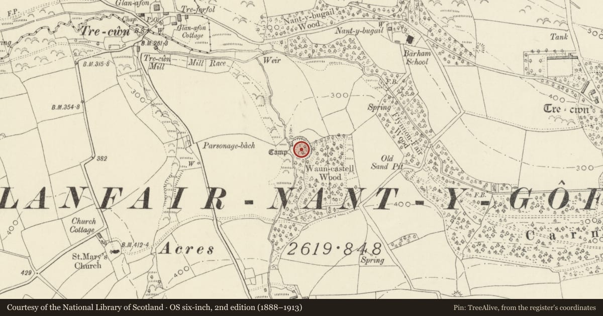 Ordnance Survey six-inch map, 2nd edition (1888–1913) covering the location of Waun-Castell Camp, Trecwn, Pembrokeshire, with a pin at the register's coordinates