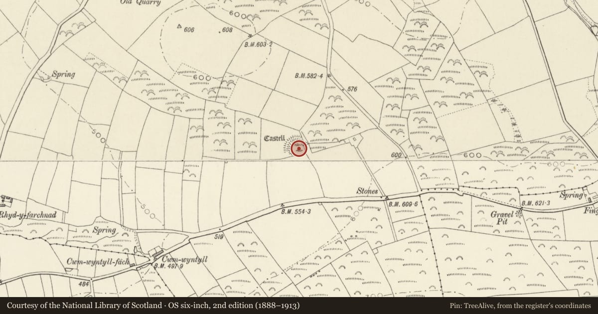 Ordnance Survey six-inch map, 2nd edition (1888–1913) covering the location of Castell Cwm-Wyntyll, Trecwn, Pembrokeshire, with a pin at the register's coordinates