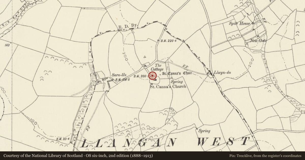 Ordnance Survey six-inch map, 2nd edition (1888–1913) covering the location of St Canna's Chair, Henllanfallteg, Carmarthenshire, with a pin at the register's coordinates