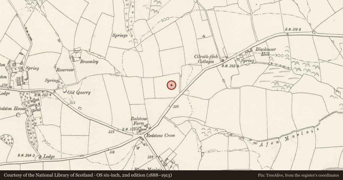 Ordnance Survey six-inch map, 2nd edition (1888–1913) covering the location of Redstone Cross Round Barrows, Narberth, Pembrokeshire, with a pin at the register's coordinates
