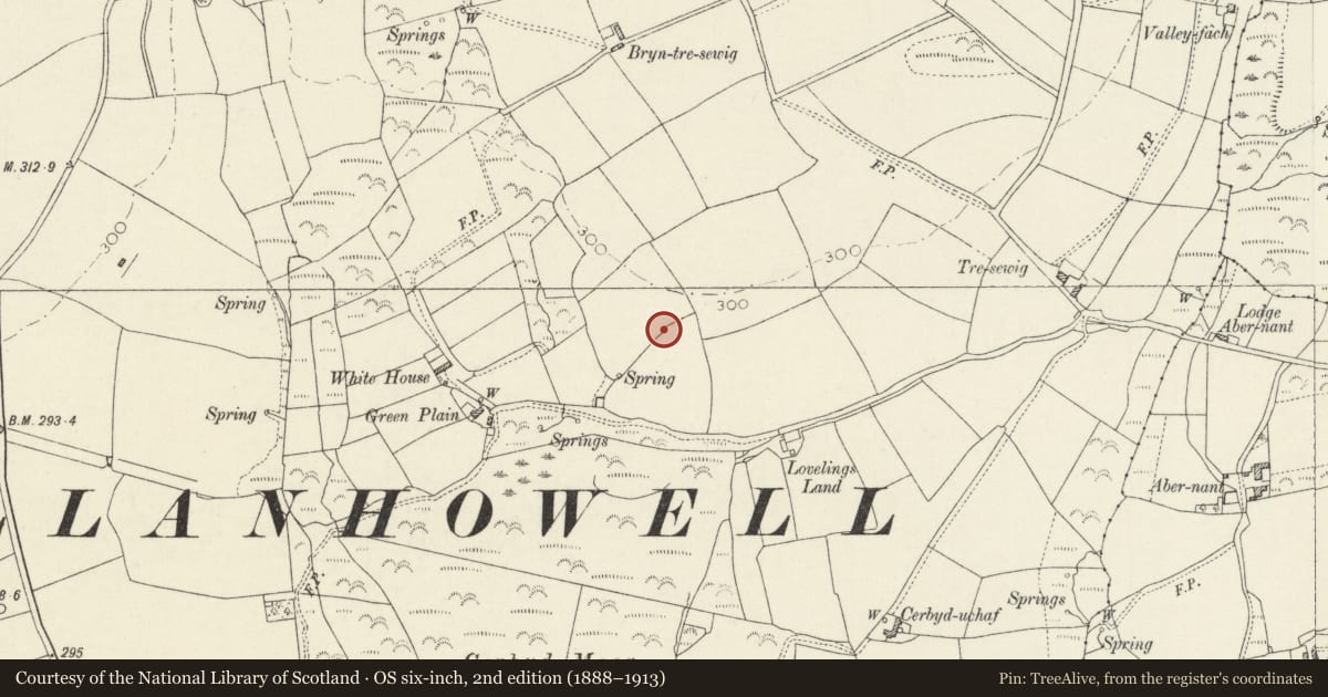 Ordnance Survey six-inch map, 2nd edition (1888–1913) covering the location of White House Burial Chamber, Llanrhian, Pembrokeshire, with a pin at the register's coordinates