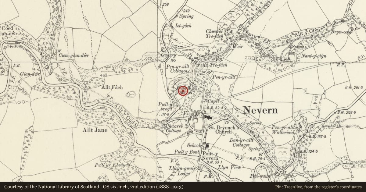 Ordnance Survey six-inch map, 2nd edition (1888–1913) covering the location of Castell Nanhyfer, Nevern, Pembrokeshire, with a pin at the register's coordinates