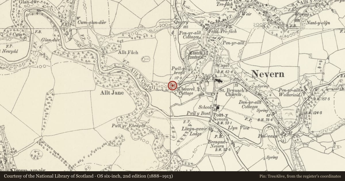 Ordnance Survey six-inch map, 2nd edition (1888–1913) covering the location of Rock Hewn Cross 220m West of Church, Nevern, Pembrokeshire, with a pin at the register's coordinates