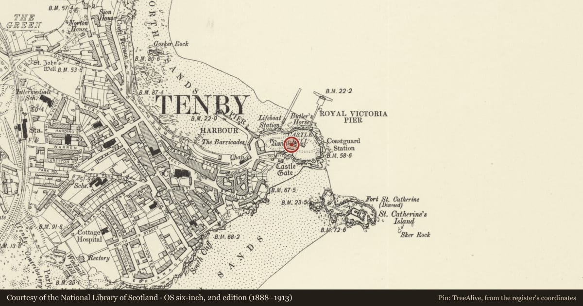 Ordnance Survey six-inch map, 2nd edition (1888–1913) covering the location of Tenby Castle, Pembrokeshire, with a pin at the register's coordinates