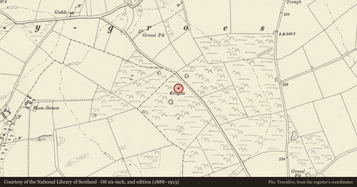 Ordnance Survey six-inch map, 2nd edition (1888–1913) covering the location of Pant-y-Groes Crugiau, St. Dogmaels, Pembrokeshire, with a pin at the register's coordinates