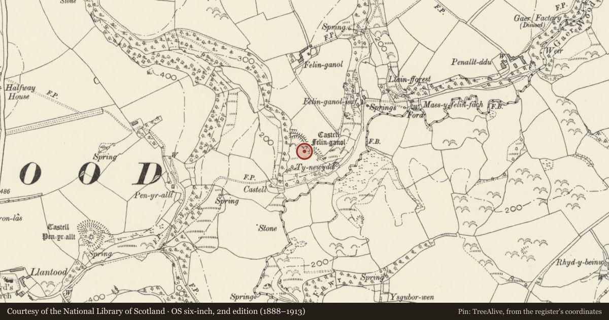 Ordnance Survey six-inch map, 2nd edition (1888–1913) covering the location of Castell Felin-Ganol, Cilgerran, Pembrokeshire, with a pin at the register's coordinates