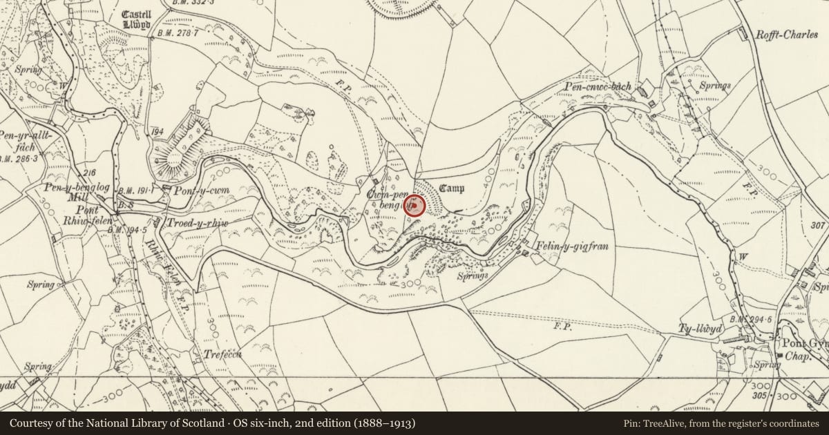 Ordnance Survey six-inch map, 2nd edition (1888–1913) covering the location of Cwm-Pen-y-Benglog Camp, Eglwyswrw, Pembrokeshire, with a pin at the register's coordinates