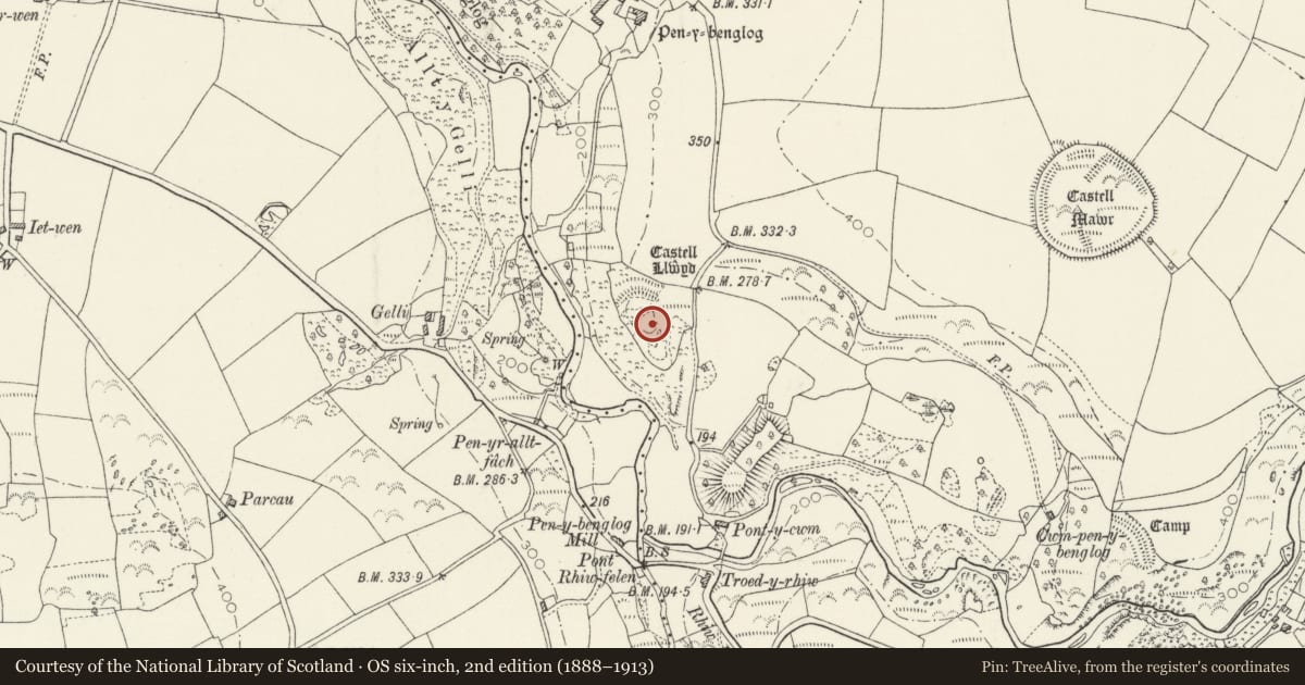 Ordnance Survey six-inch map, 2nd edition (1888–1913) covering the location of Castell Llwyd, Eglwyswrw, Pembrokeshire, with a pin at the register's coordinates