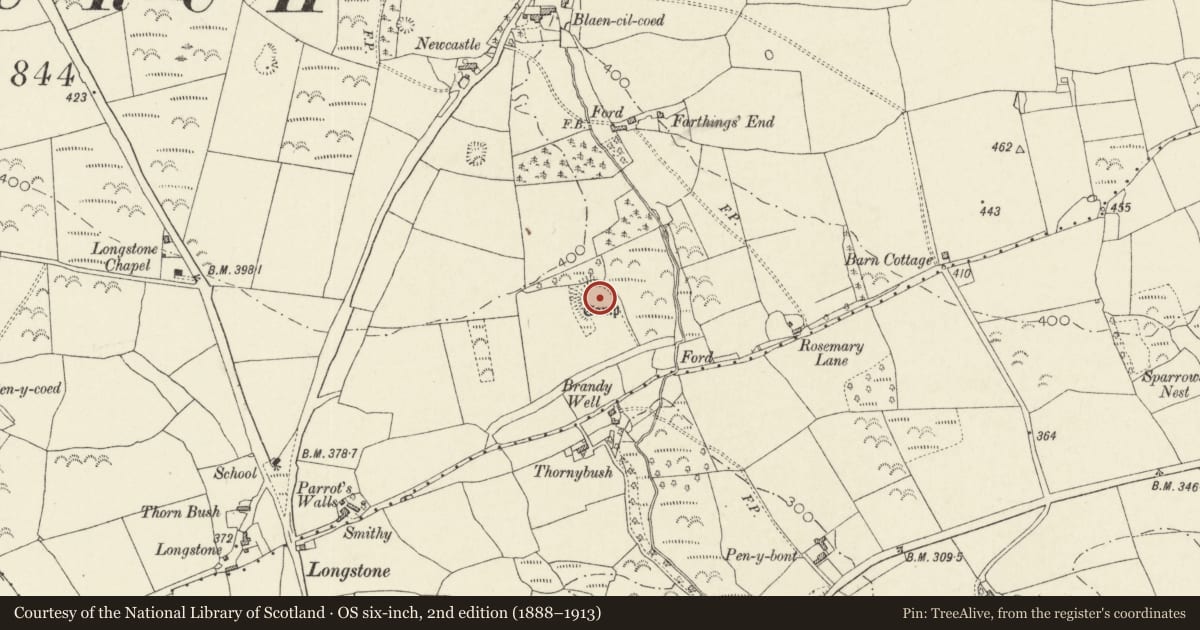 Ordnance Survey six-inch map, 2nd edition (1888–1913) covering the location of Longstone Camp, Lampeter Velfrey, Pembrokeshire, with a pin at the register's coordinates