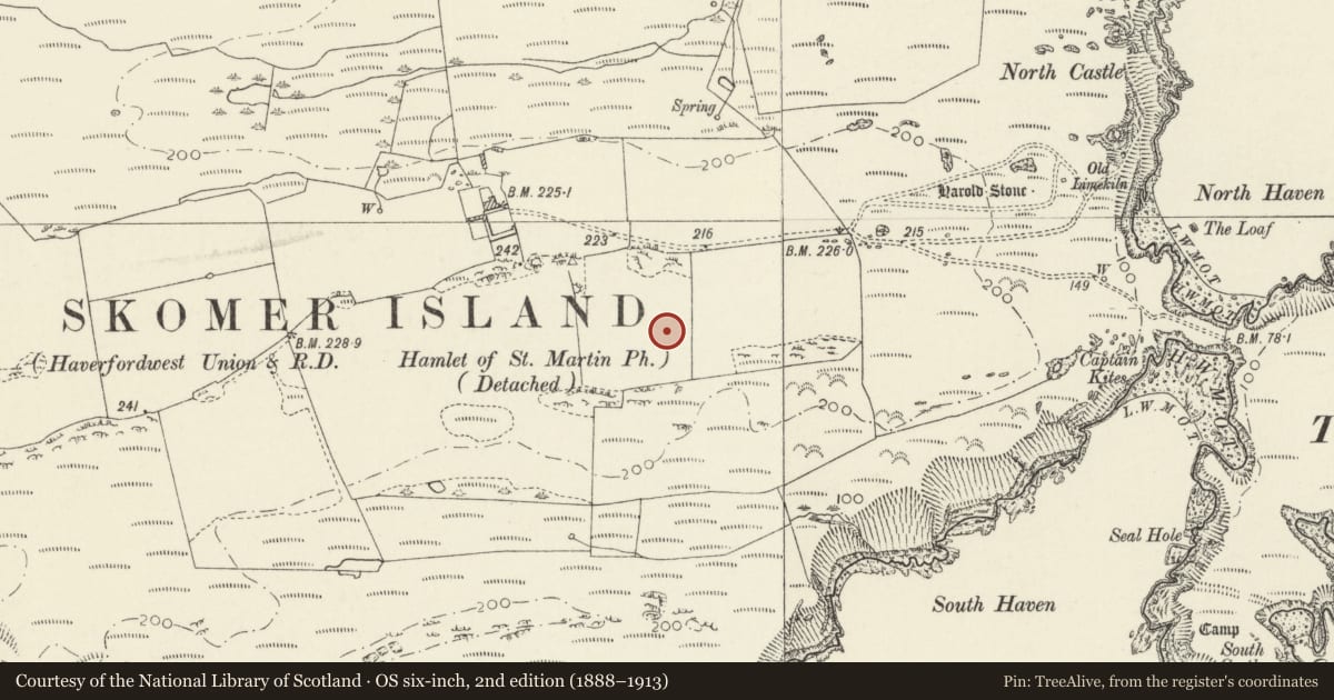 Ordnance Survey six-inch map, 2nd edition (1888–1913) covering the location of Hut Groups, Cairns & Cliff Castle on Skomer Island, Marloes and St. Brides, Pembrokeshire, with a pin at the register's coordinates