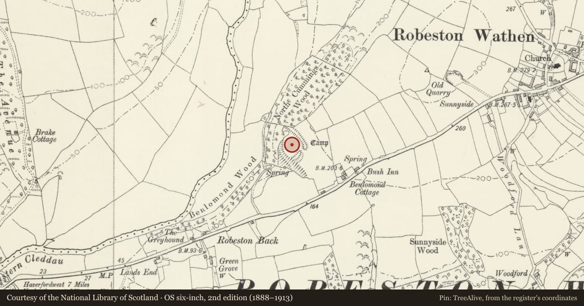 Ordnance Survey six-inch map, 2nd edition (1888–1913) covering the location of Bush Inn Camp, Llawhaden, Pembrokeshire, with a pin at the register's coordinates