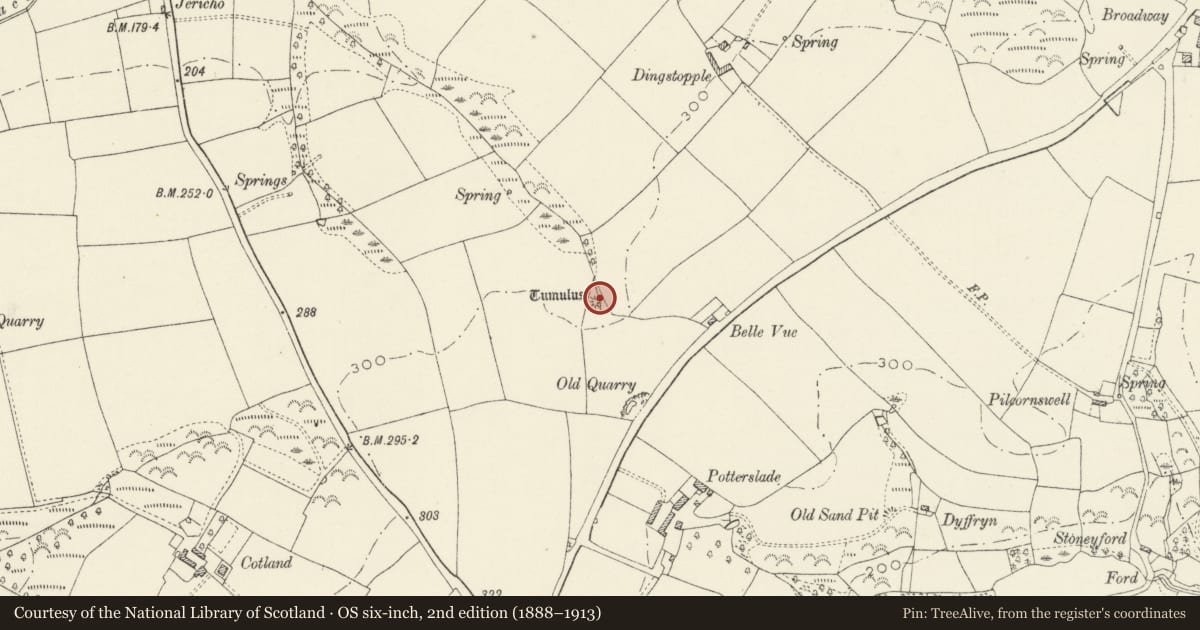 Ordnance Survey six-inch map, 2nd edition (1888–1913) covering the location of Dingstopple Castle Mound, Llawhaden, Pembrokeshire, with a pin at the register's coordinates