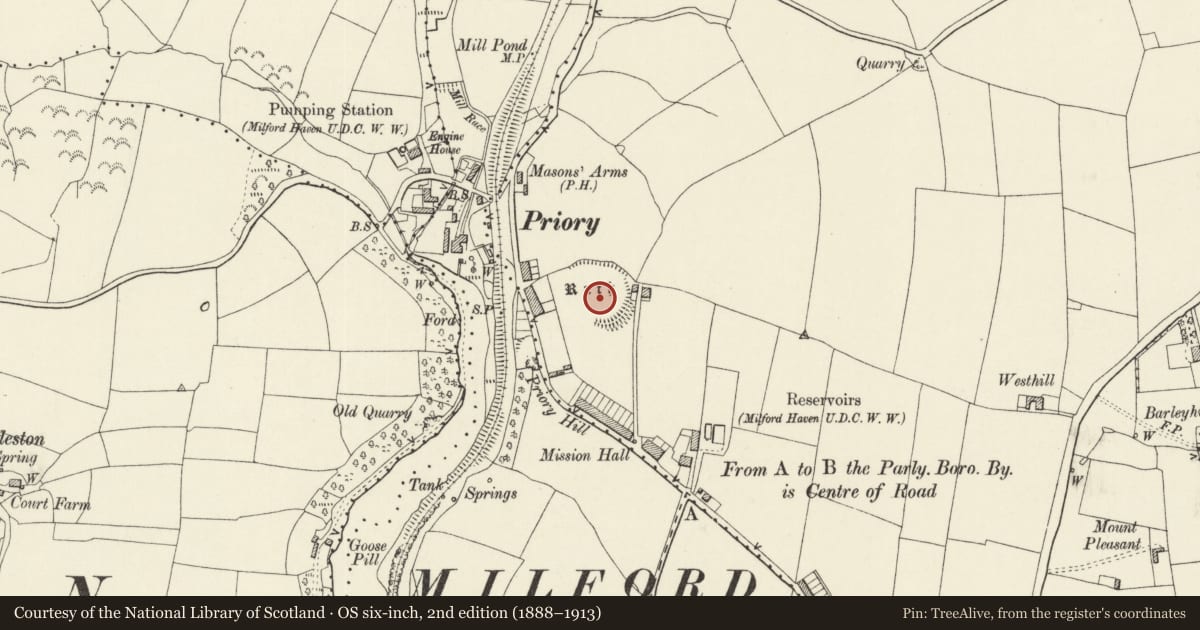 Ordnance Survey six-inch map, 2nd edition (1888–1913) covering the location of Priory Rath, Milford Haven, Pembrokeshire, with a pin at the register's coordinates