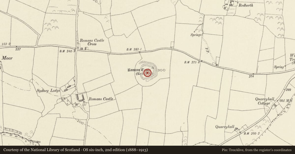 Ordnance Survey six-inch map, 2nd edition (1888–1913) covering the location of Roman Castle, Walwyn's Castle, Pembrokeshire, with a pin at the register's coordinates