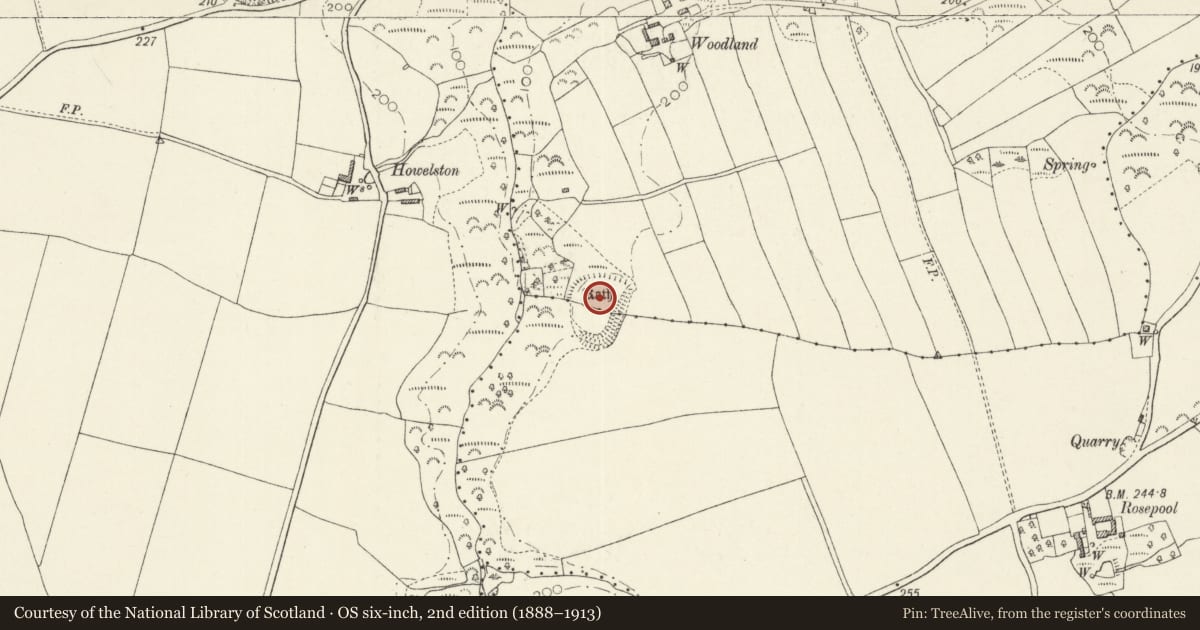 Ordnance Survey six-inch map, 2nd edition (1888–1913) covering the location of Woodland Rath, The Havens, Pembrokeshire, with a pin at the register's coordinates