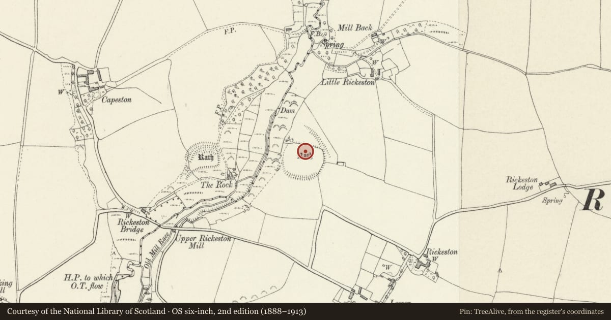 Ordnance Survey six-inch map, 2nd edition (1888–1913) covering the location of Rickeston Rath, Walwyn's Castle, Pembrokeshire, with a pin at the register's coordinates