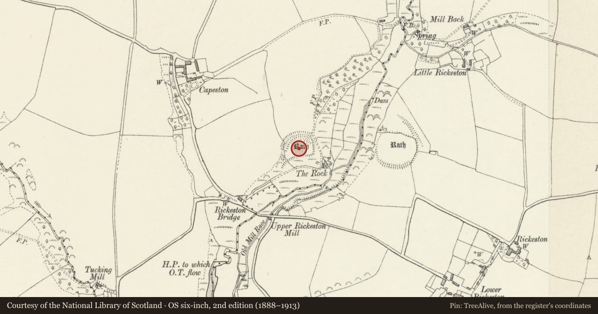 Ordnance Survey six-inch map, 2nd edition (1888–1913) covering the location of Capeston Rath, Walwyn's Castle, Pembrokeshire, with a pin at the register's coordinates